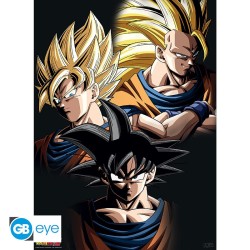 Poster - Packung mit 2 - Dragon Ball - Saiyajin & Shenron