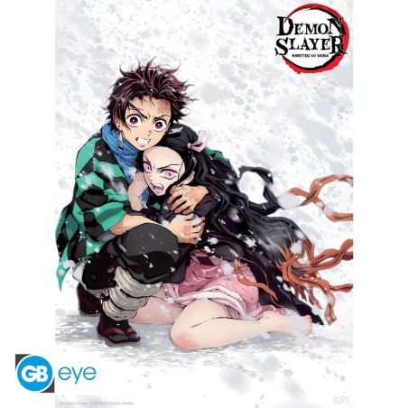 Poster - Pack de 2 - Demon Slayer - Series 3
