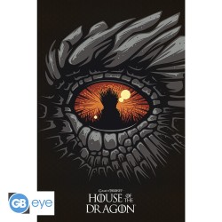 Poster - Gerollt und mit Folie versehen - House of The Dragon