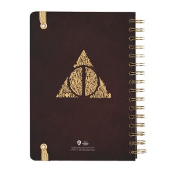 Organizer - Agenda - Harry Potter - 2022 / 2023