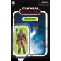 Action Figure - The Vintage Collection - Star Wars - Klatooinian Raider