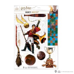 Objet de décoration - Aimant - Harry Potter - Quidditch