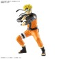 Model - Entry Grade - Naruto - Naruto Uzumaki