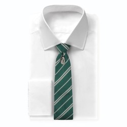 Necktie - Harry Potter - Slytherin - Unisexe 