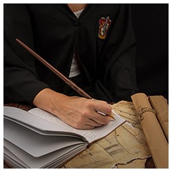 Writing - Pen - Harry Potter