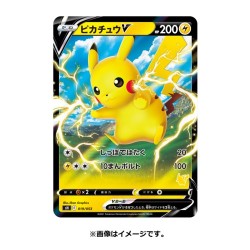 Cartes (JCC) - Pokemon - "Family Card Game"