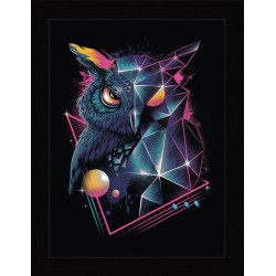 Frame - Vincent Trinidad - Rad Owl