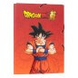 Classement - Fourre - DC Comics - Son Goku