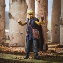 Figurine articulée - Golden Archive - Donjons et Dragons - Simon