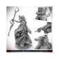 Statische Figur - Starfinder - Necrovite