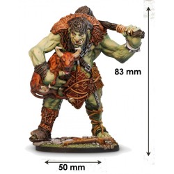 Static Figure - 5E Compatible RPG - Dungeons & Lasers - Yahazzal the Hungry Troll