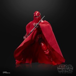 Action Figure - The Vintage Collection - Star Wars - Emperor's Royal Guard