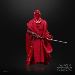 Action Figure - The Vintage Collection - Star Wars - Emperor's Royal Guard