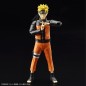 Model - Figure Rise - Naruto - Naruto Uzumaki