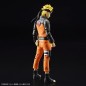 Model - Figure Rise - Naruto - Naruto Uzumaki