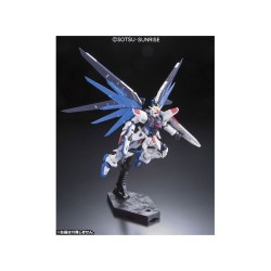Model - Real Grade - Gundam - Freedom