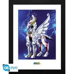 Frame - Saint Seiya - Pegasus