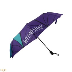 Umbrella - Wednesday - Stained glass