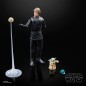 Figurine articulée - The Black Series - Star Wars - Luke & Grogu Figurine articulée - The Black Series - Star Wars - Luke & Grogu