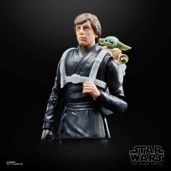 Action Figure - The Black Series - Star Wars - Luke & Grogu