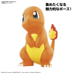 Model - Pokepla - Pokemon - N°11 - Charmander