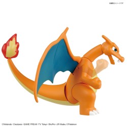 Model - Pokepla - Pokemon - Charizard & Dragonite