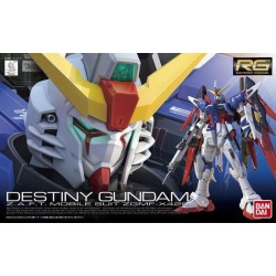 Maquette - Real Grade - Gundam - Destiny