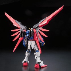 Model - Real Grade - Gundam - Destiny