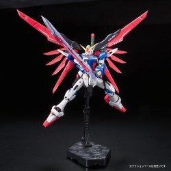 Model - Real Grade - Gundam - Destiny