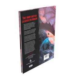 Buch - Rollenspiel - Dungeons & Dragons - Fizbans Schatzkammer der Drachen