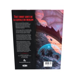 Buch - Rollenspiel - Dungeons & Dragons - Fizbans Schatzkammer der Drachen