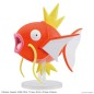 Maquette - Pokepla - Pokemon - Magicarpe Maquette - Pokepla - Pokemon - Magicarpe