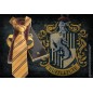 Cravate - Harry Potter - Unisexe 