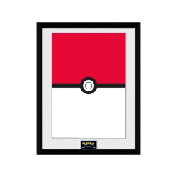 Frame - Pokemon - Pokeball