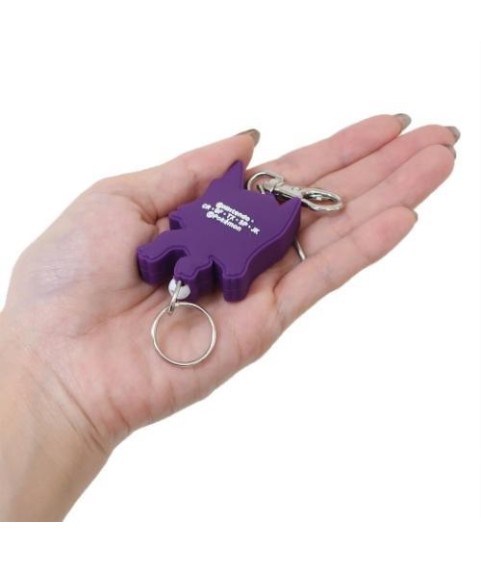 Keychain - Pokemon - Sableye