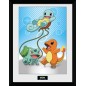 Cadre - Pokemon - Starters Kanto Cadre - Pokemon - Starters Kanto
