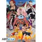Poster - Roulé et filmé - One Piece - Marine Ford
