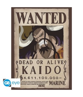 Poster - Flat - One Piece - Kaido