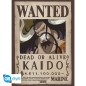 Poster - À plat - One Piece - Kaido