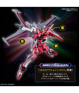 Modell - High Grade - Gundam - Infinite Justice Type II