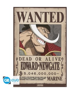 Poster - Roulé et filmé - One Piece - Barbe Blanche