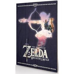 Canvas - Zelda