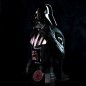 Static Figure - SB6 - Star Wars - Darth Vader