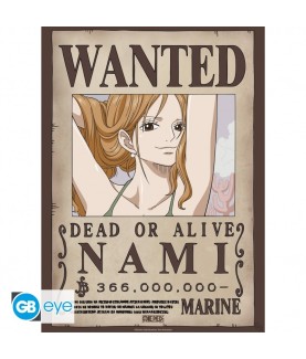 Poster - Pack de 2 - One Piece - Nami & Robin