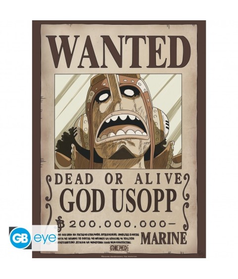 Poster - Pack de 2 - One Piece - Franky & Usopp