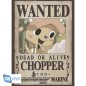 Poster - Pack de 2 - One Piece - Chopper & Brook Poster - Pack de 2 - One Piece - Chopper & Brook