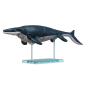 Maquette - Plannosaurus - Préhistoire - Mosasaurus