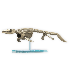 Maquette - Plannosaurus - Préhistoire - Mosasaurus