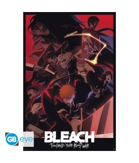 Poster - Rolled and shrink-wrapped - Bleach - Season 2