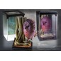 Statue de collection - Les Animaux Fantastiques